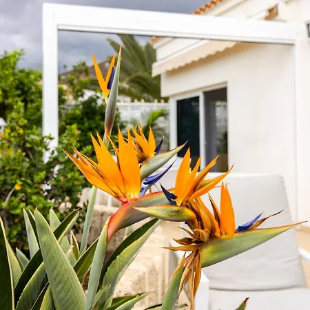 Ellen View A Heated Pool Luxury *