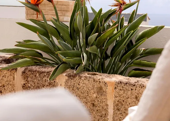 Ellen View A Heated Pool Luxury Villa Costa Adeje (Tenerife)