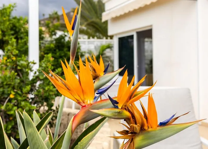 Ellen View A Heated Pool Luxury *